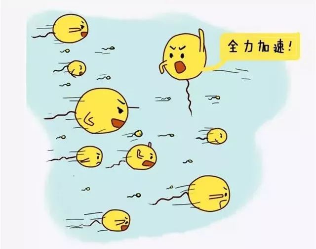 男性为什么会有弱精症