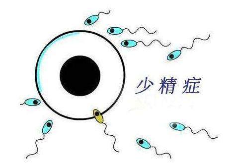 男性精液少是什么原因导致的