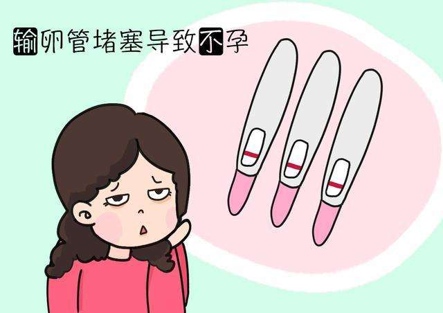 怀不上二胎？可能是输卵管性不孕