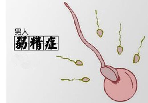 导致弱精症的原因有哪些