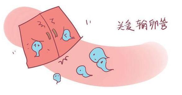 不孕一定是输卵管原因吗 需要做输卵管造影吗