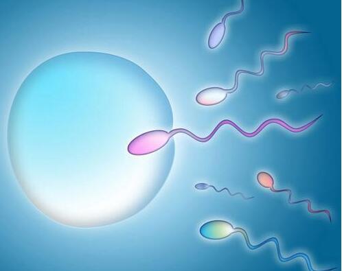 男人平时该如何养精