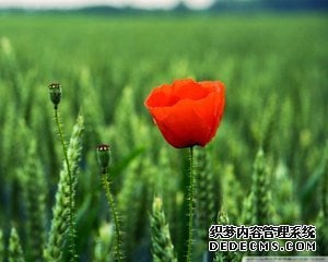 合肥女性不孕要避免以下几点