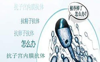 ʲôǿӹĤ壿