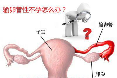 ѹԲ ϷɽҽԺв