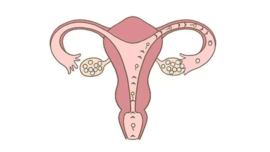 合肥女性输卵管炎怎么预防？