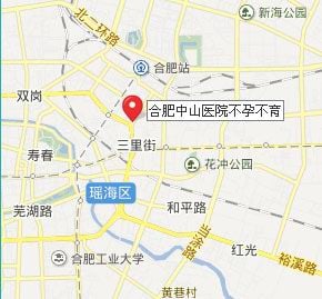 λ